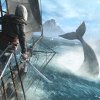 ac4bf_sc_sp_02_whale.jpg