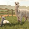 fs25ba_alpacas
